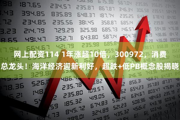 网上配资114 1年涨超10倍，300972，消费总龙头！海洋经济迎新利好，超跌+低PB概念股揭晓