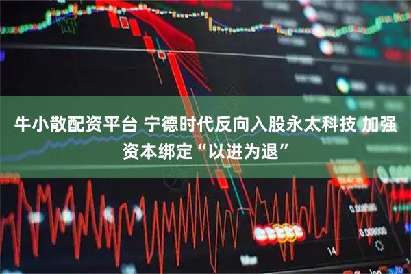 牛小散配资平台 宁德时代反向入股永太科技 加强资本绑定“以进为退”