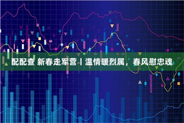 配配查 新春走军营丨温情暖烈属，春风慰忠魂